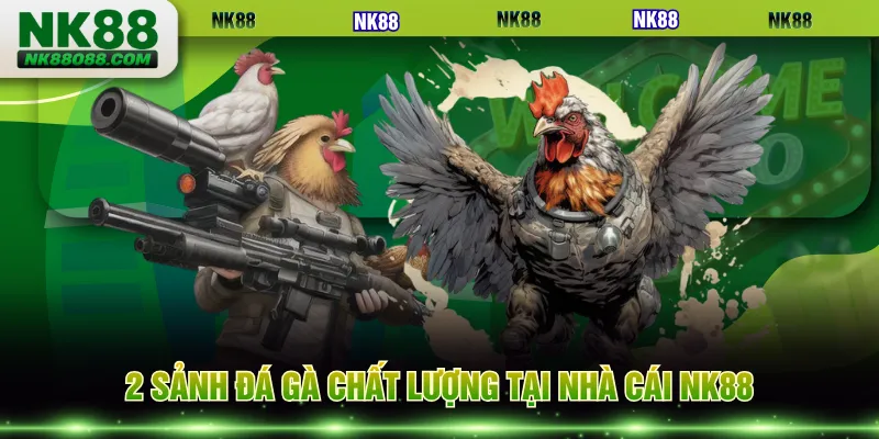 2 sảnh đá gà chất lượng tại nhà cái NK88