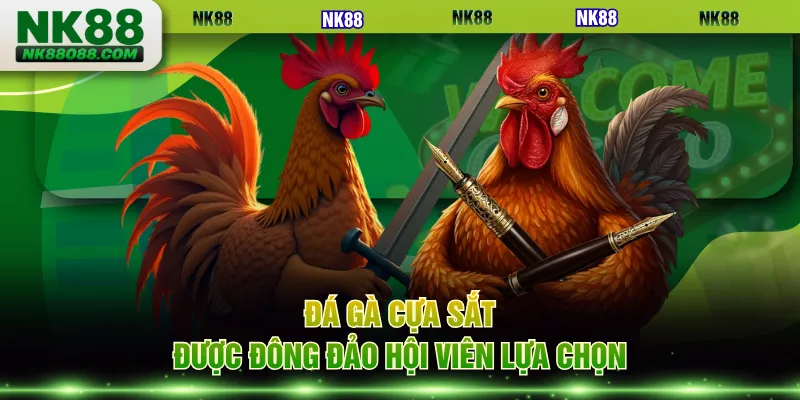 Đá gà cựa sắt được đông đảo hội viên lựa chọn